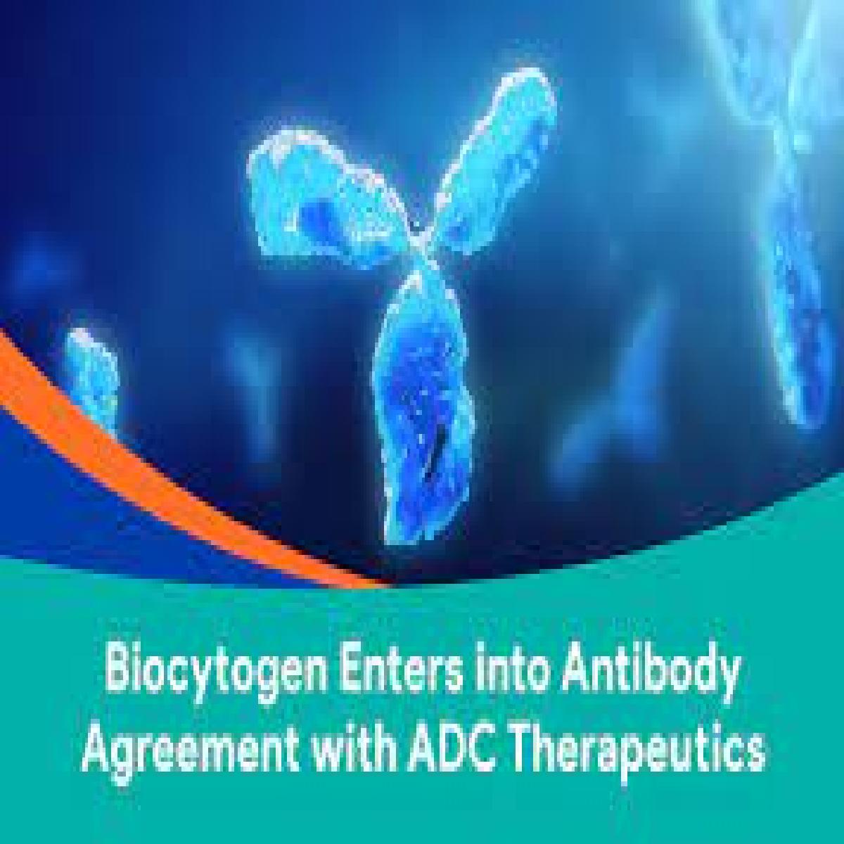 Biocytogen Announces FDA Clearance of IND Application for Bispecific Antibody YH008