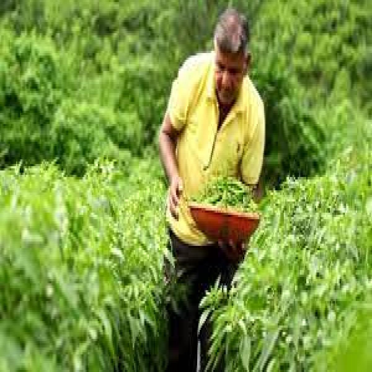 Smart Farmers Community of Hindustan Zinc Under Project Samadhan